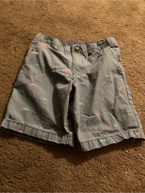 Carters and lands end Other - Carter's Gray Shorts with Green and Coral Dino Print